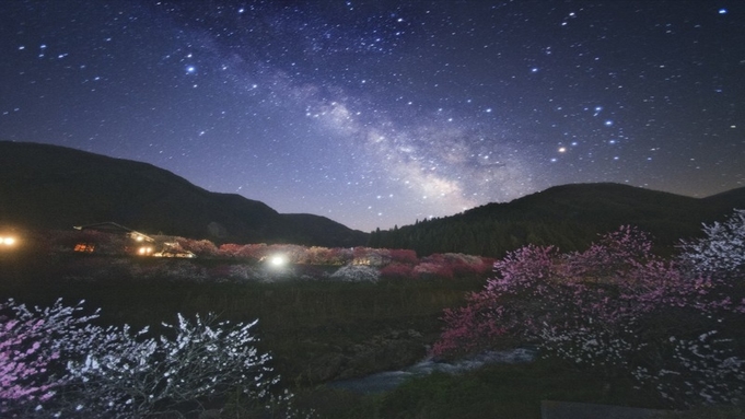 『花桃・桜』散策と花見露天＆春の味覚プラン